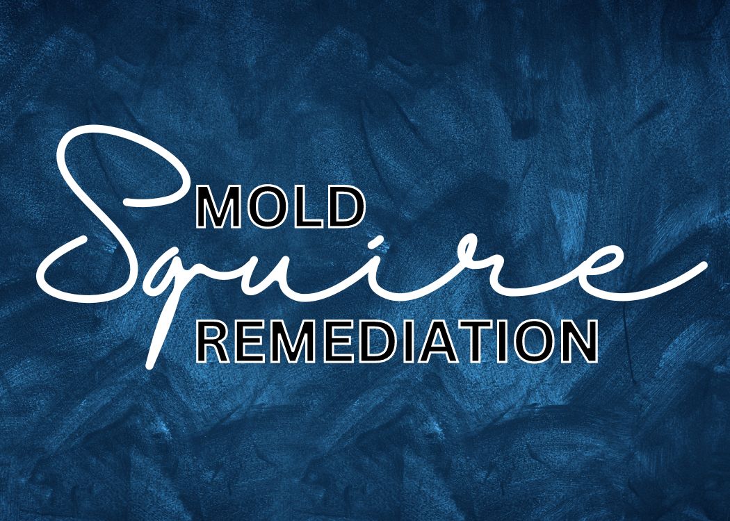 Squire Mold Remediation - Mold Remediation Services